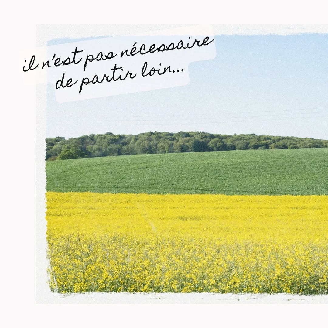 Quand certains n’y voient qu’un champ, une maison ou une vieille porte... moi j’y vois des histoires.
Je regarde la finesse d’un pétale, l’ingéniosité d’une serrure ancienne, le mélange de matériaux, la douceur d’un instant suspendu.

C’est pour ça que je photographie !
Pas seulement pour montrer ce qui est là, mais pour garder une trace de ce qui se ressent.
Je travaille avec émotion, avec regard, avec sensibilité.
Je ne fais PAS que des photos : je capte des moments de vie, des émotions... qui ne reviendront jamais.

Et c’est peut-être ça, le plus précieux, savoir s'émerveiller de tout ✨

#photographe #photographieemotive  #photographefranchecomte #photographeprofessionnelle #photodetail