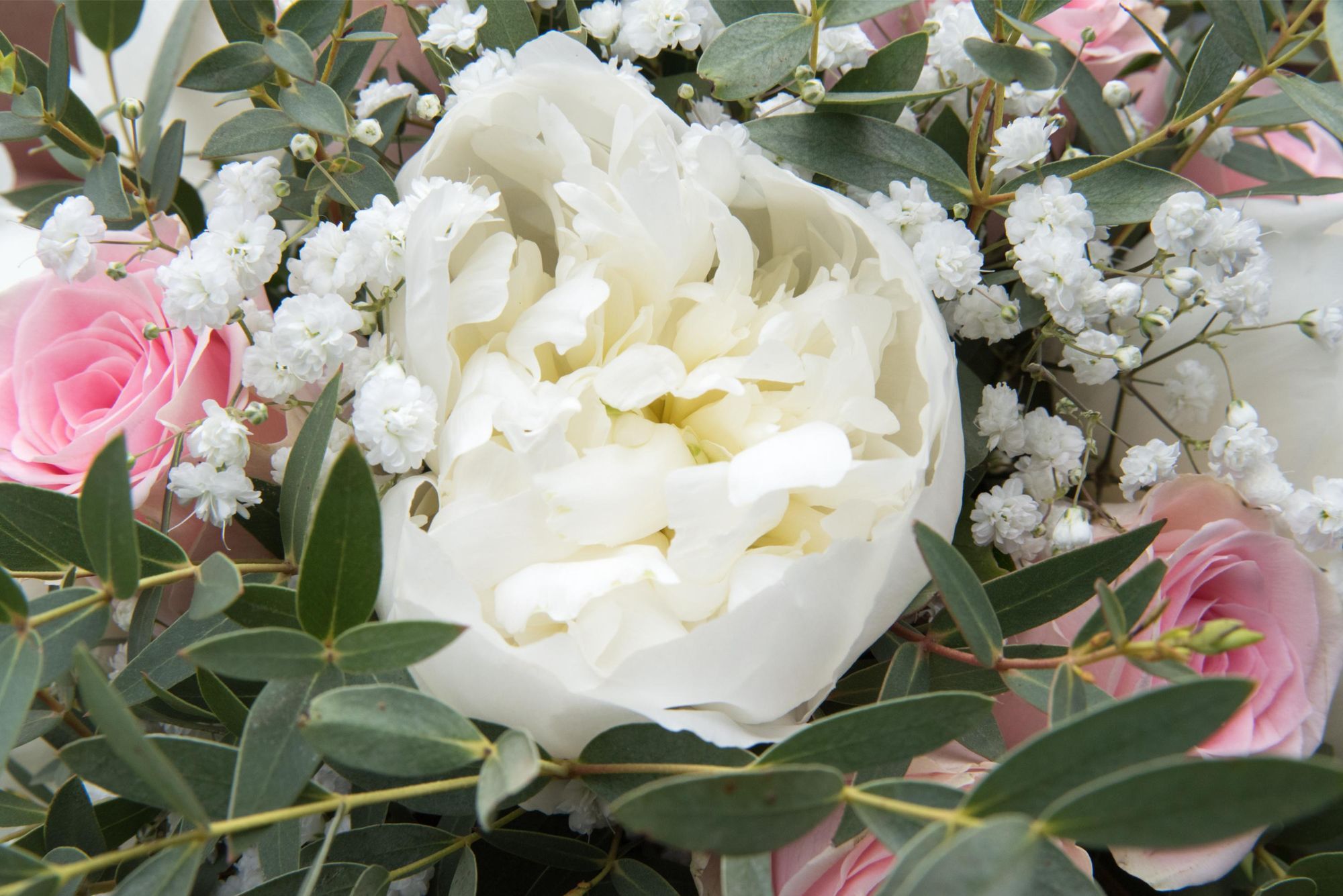 photo de détail du bouquet de fleur, pivoine. détail de mariage, bouquet de mariage dans le grand est