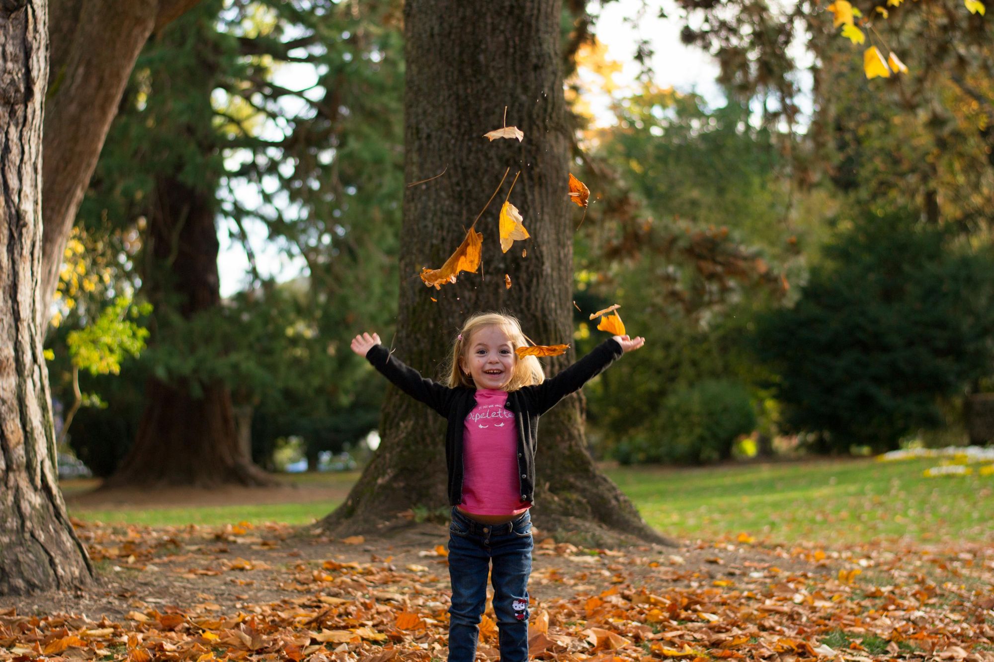 photo d'une enfant qui joue dans les feuilles d'automne dans un parc à proximité de Besançon