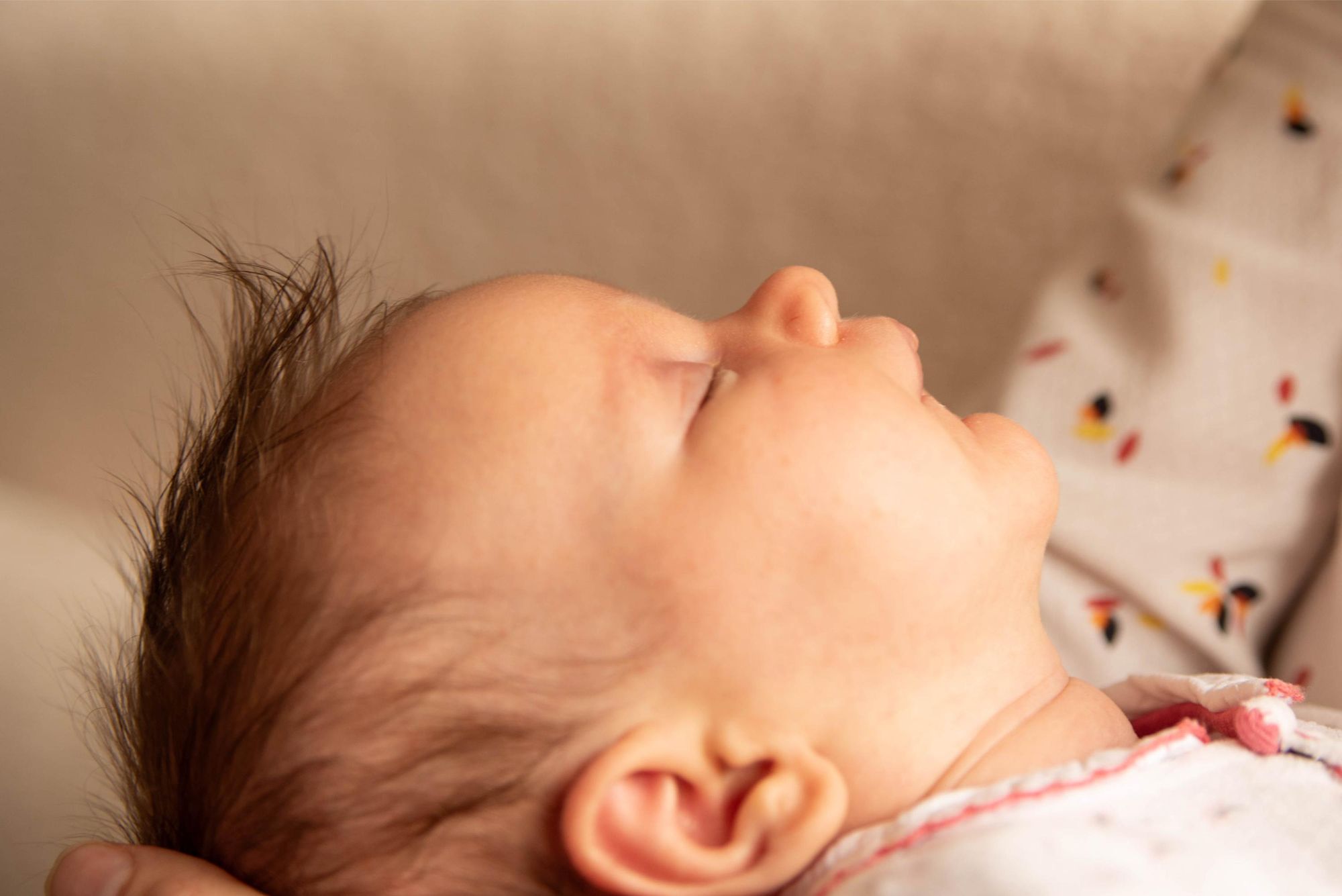 photo de détail de la courbe du visage d'un nouveau né lors d'une session naissance réalisée à domicile