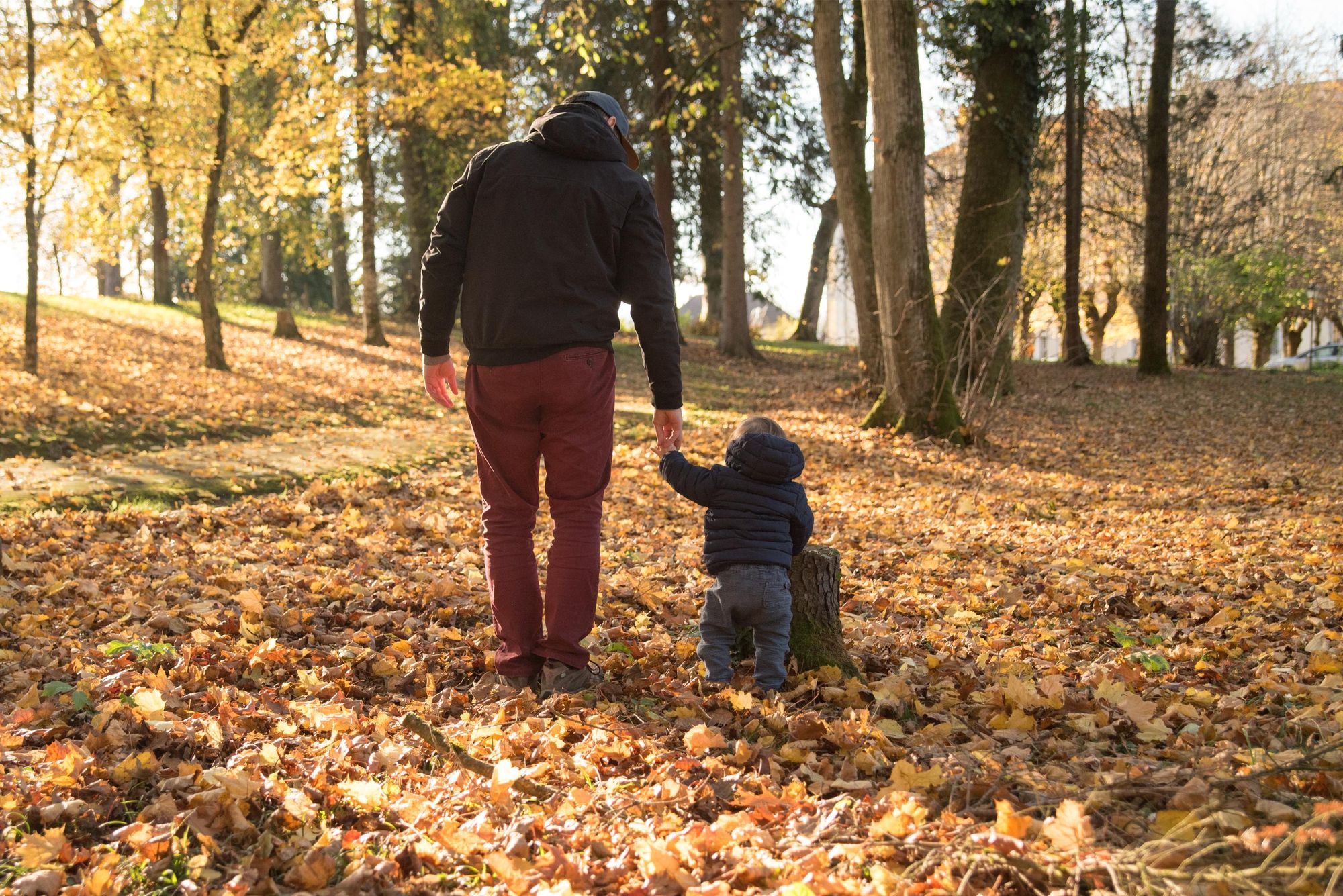 papa et son fils de dos lors d'une session automne à Besançon